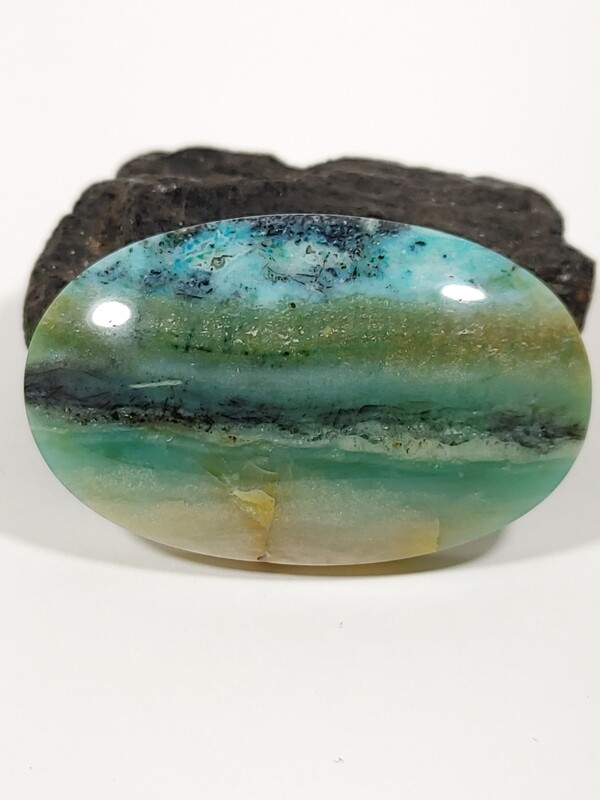 Blue Opalized Wood