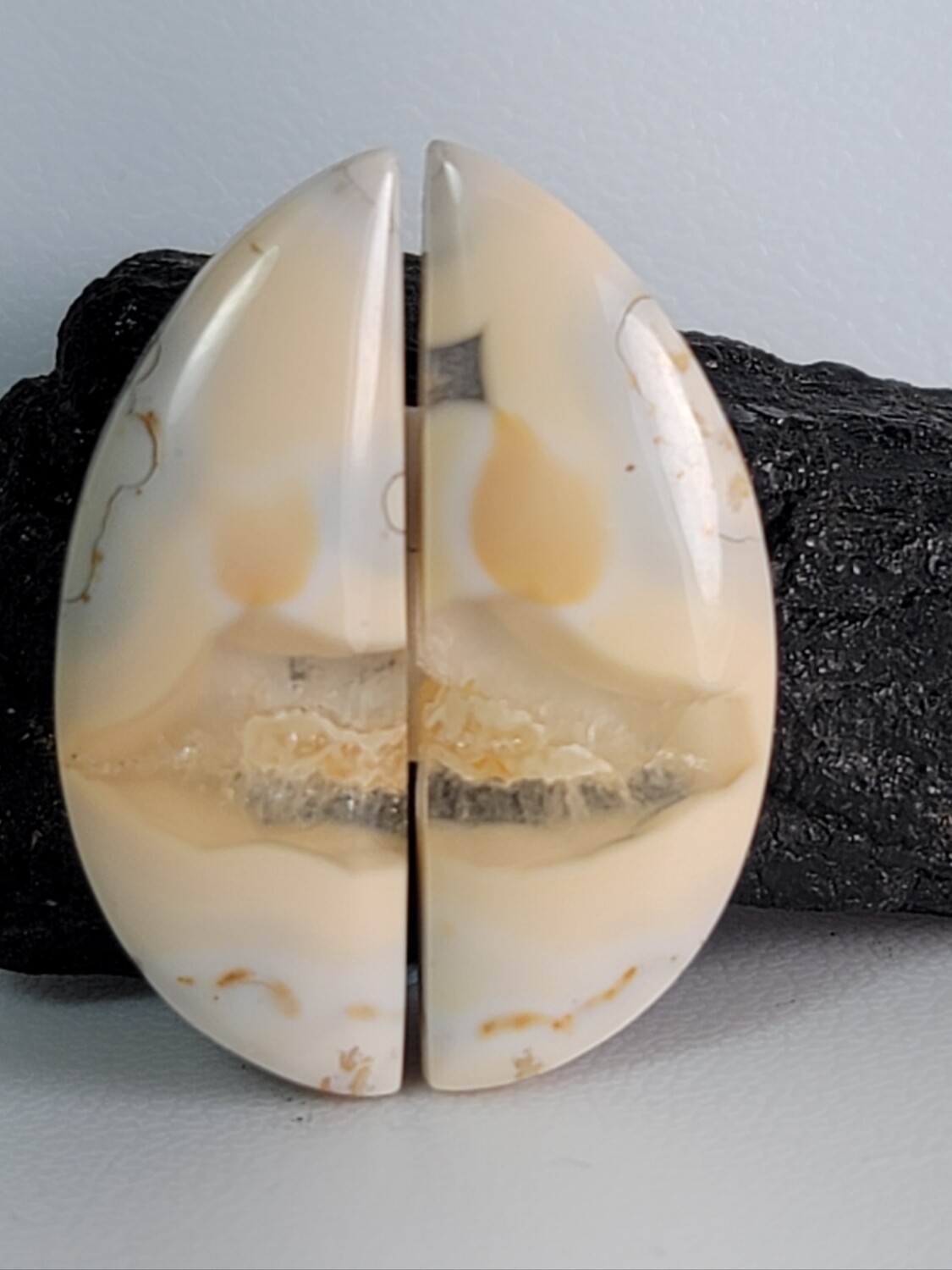Palm Root Agatized with Duzy Quartz Earring Pair