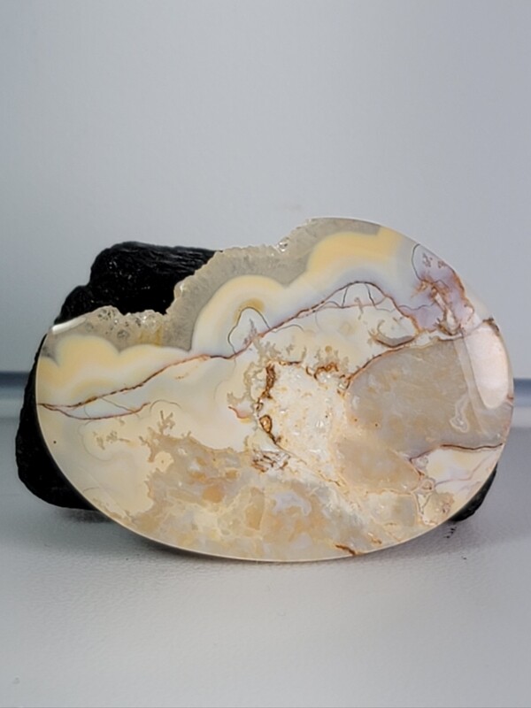Palm Root Agatized w/ Druzy Quartz