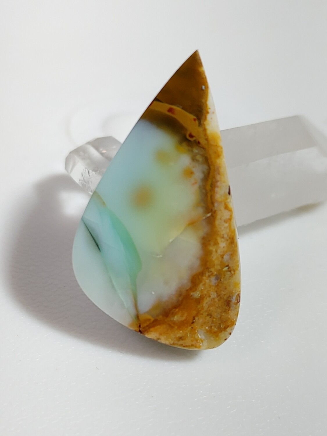 Blue Opalized Wood