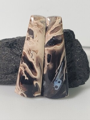 Black Palm Root