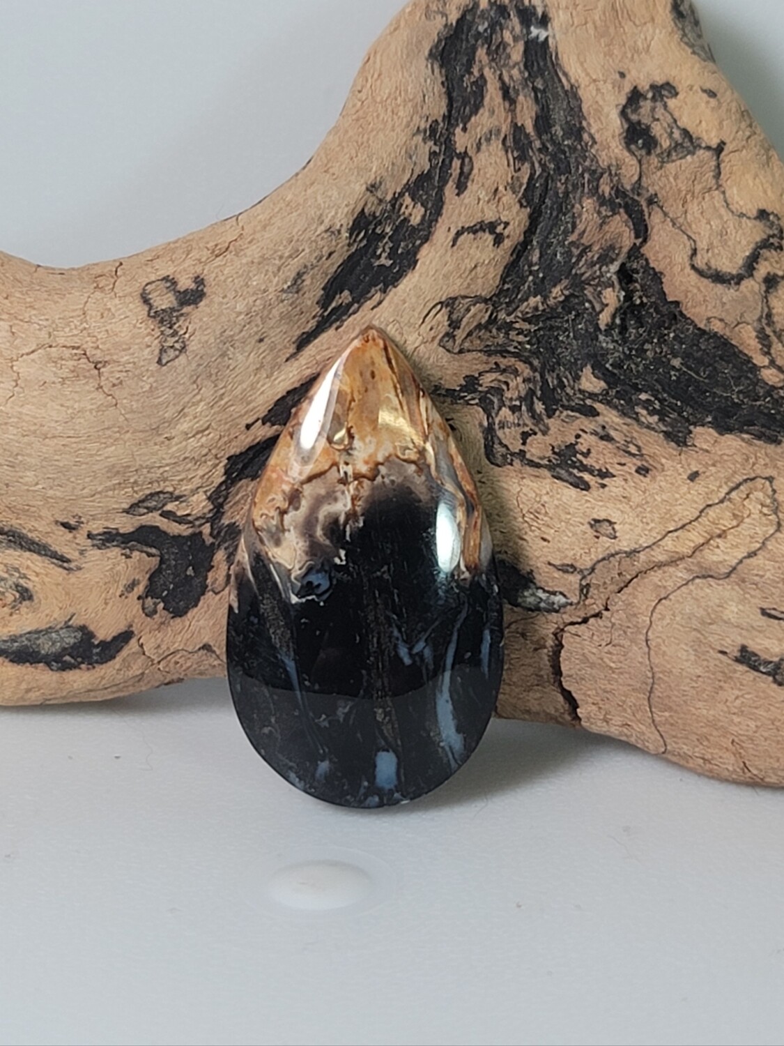 Black Palm Root