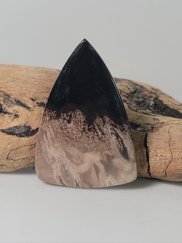 Black Palm Root