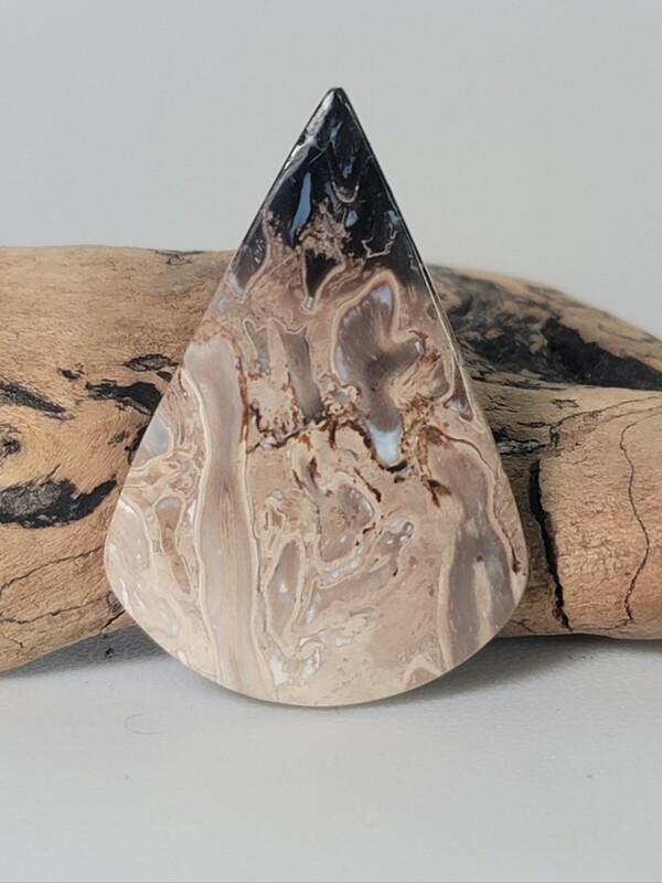 Black Palm Root