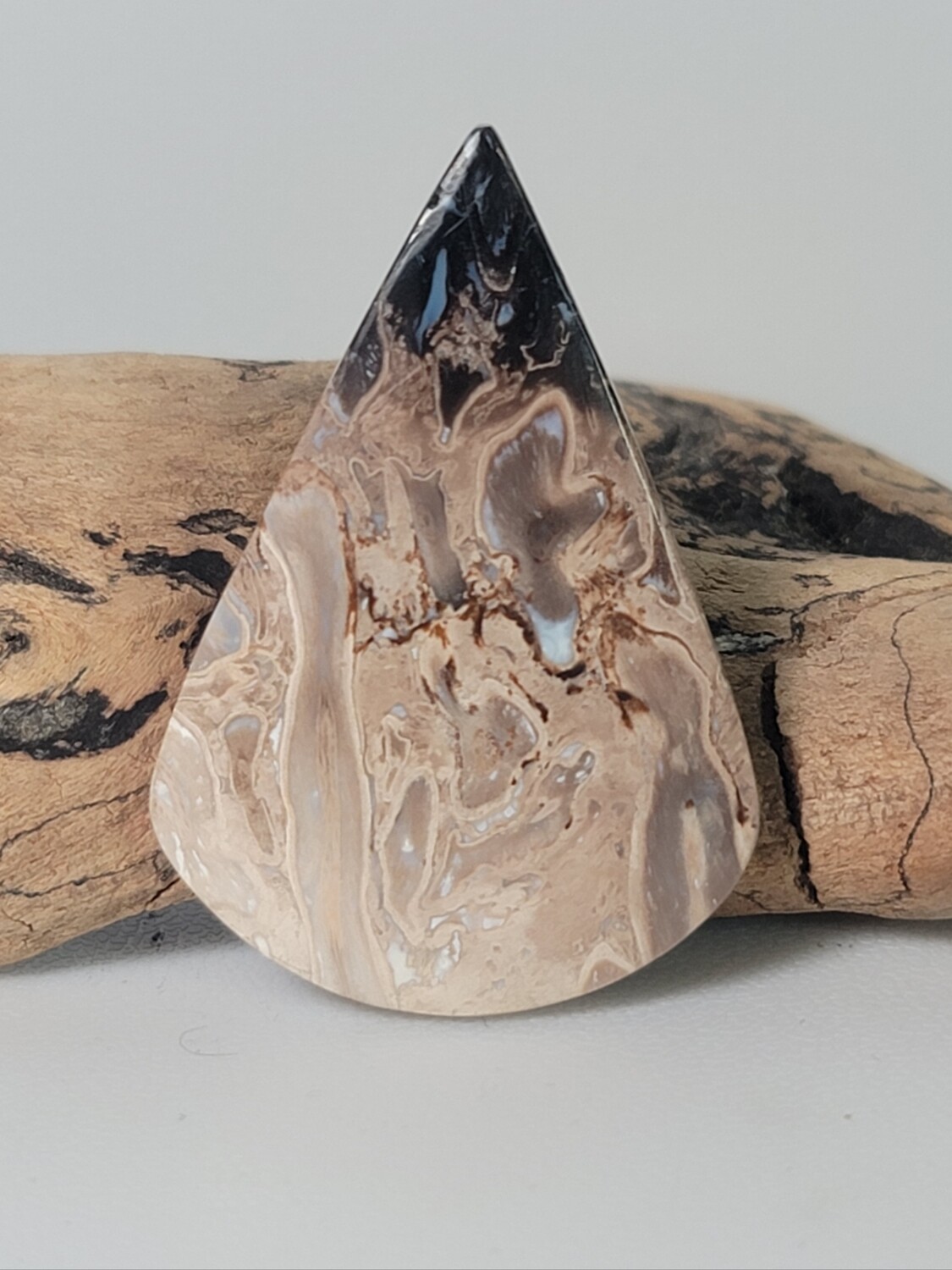Black Palm Root