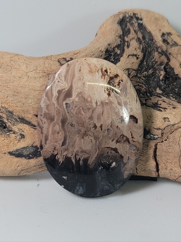 Black Palm Root