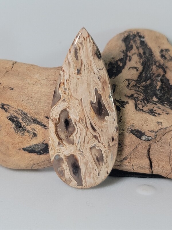 Black Palm Root