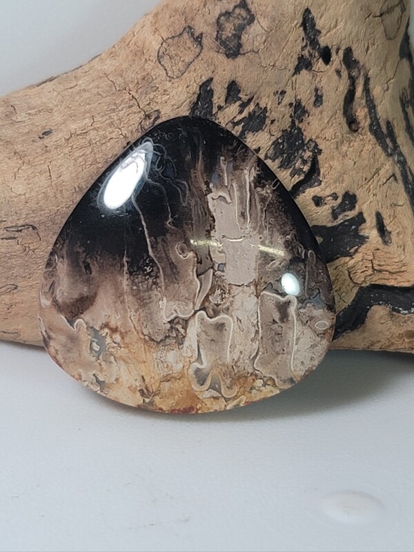 Black Palm Root