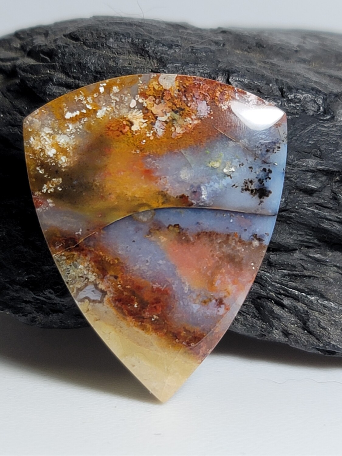 Agatized Petrified Wood