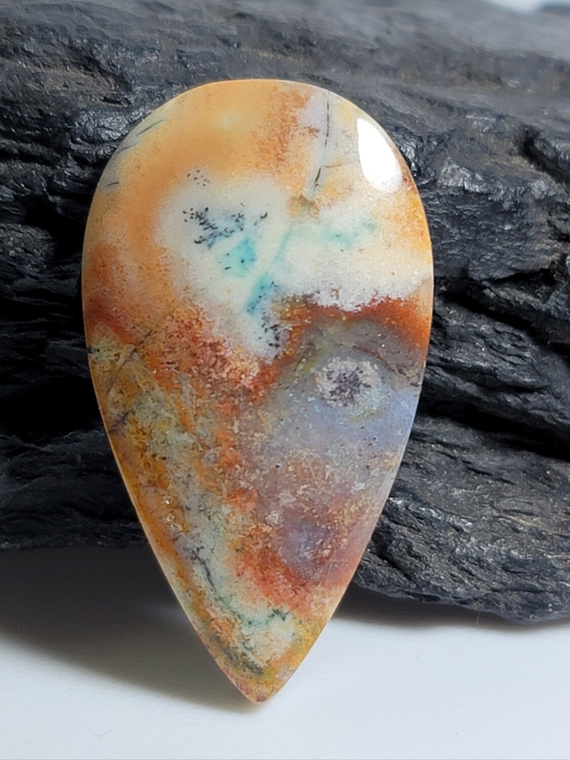 Agatized Petrified Wood