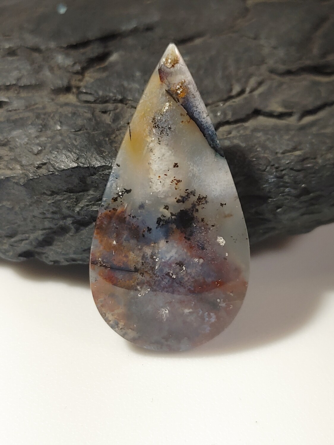 Agatized Petrified Wood