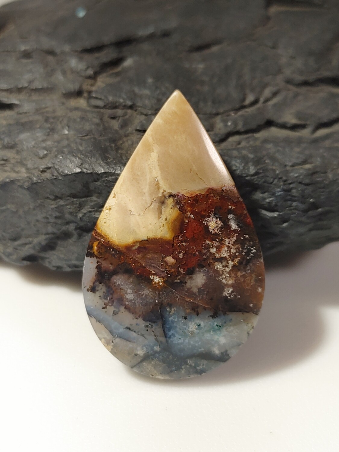 Agatized Petrified Wood