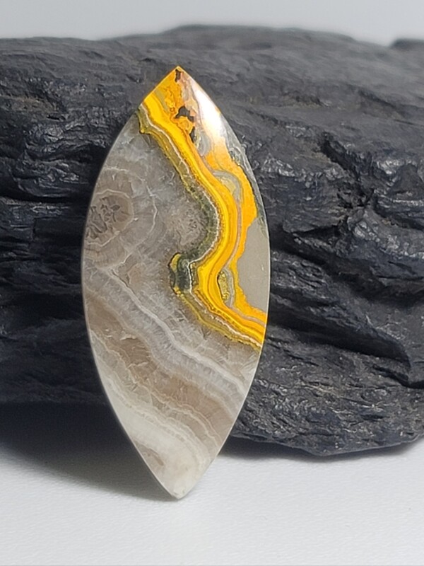 Bumble Bee Jasper