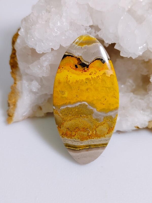 Bumblebee Jasper