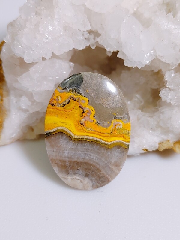 Bumblebee Jasper