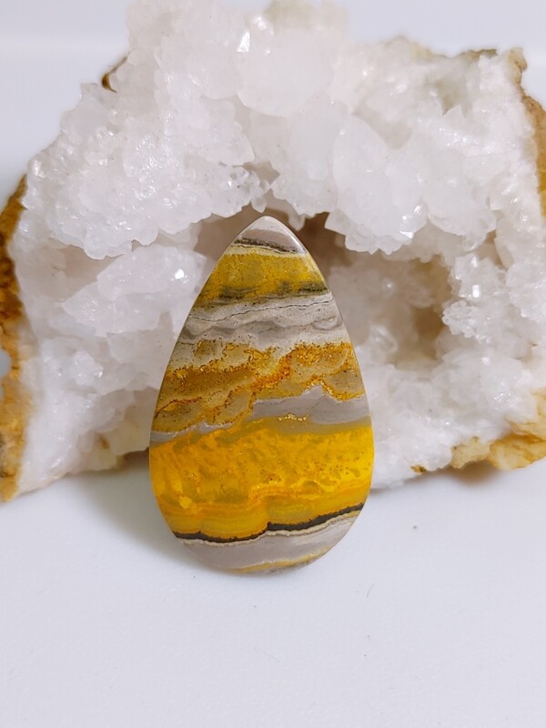 Bumblebee Jasper