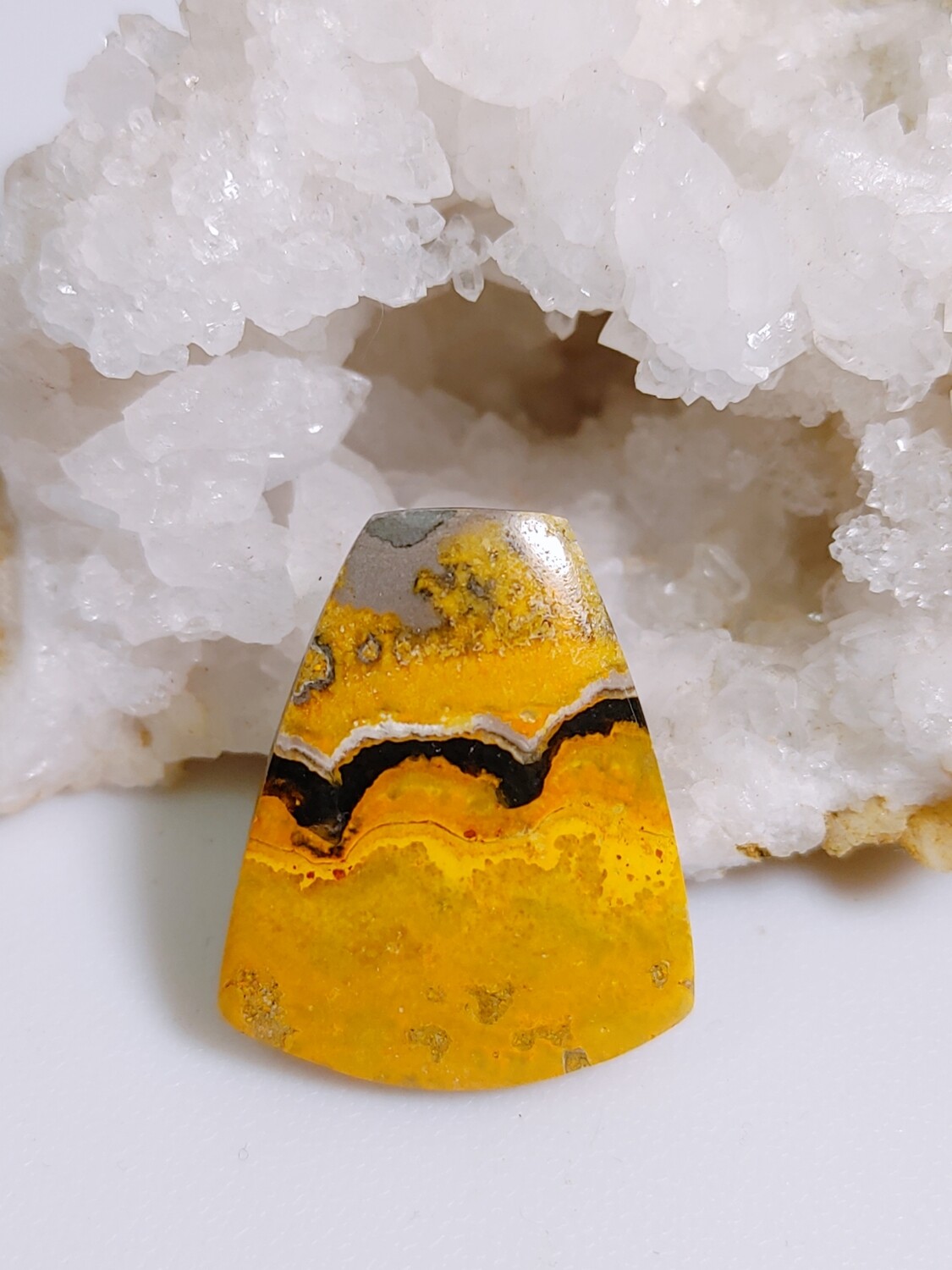 Bumblebee Jasper