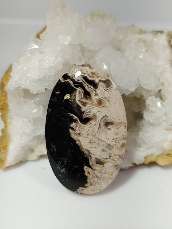 Black Palm Root