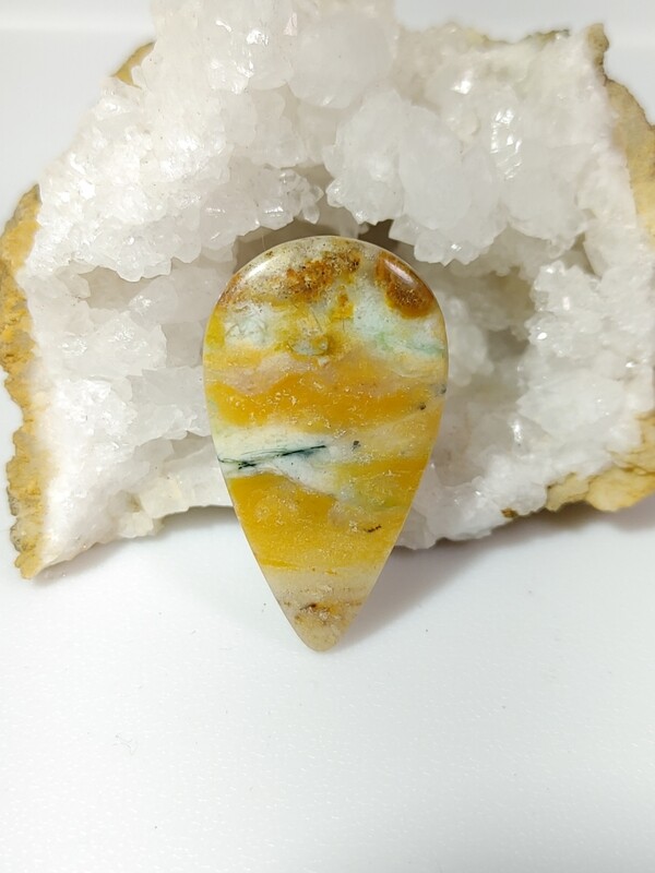 Blue Opalized Wood
