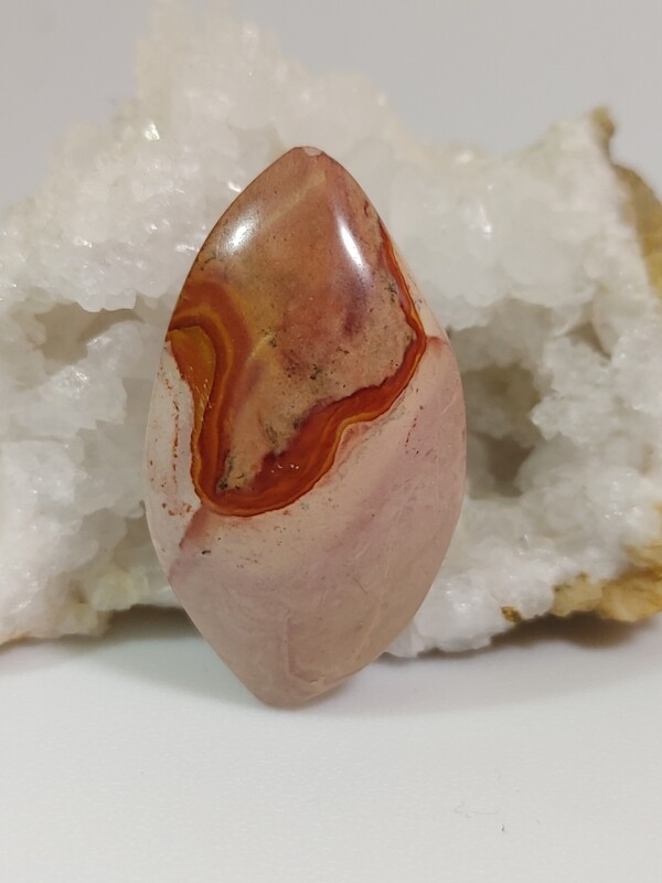 Polychrome