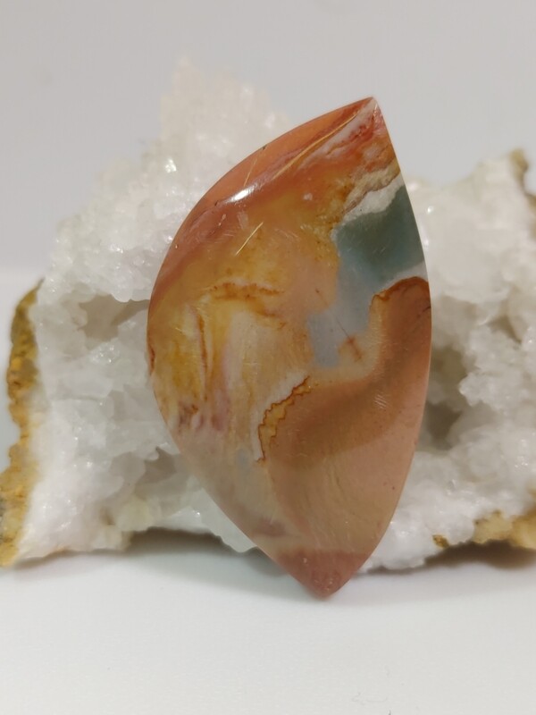 Polychrome