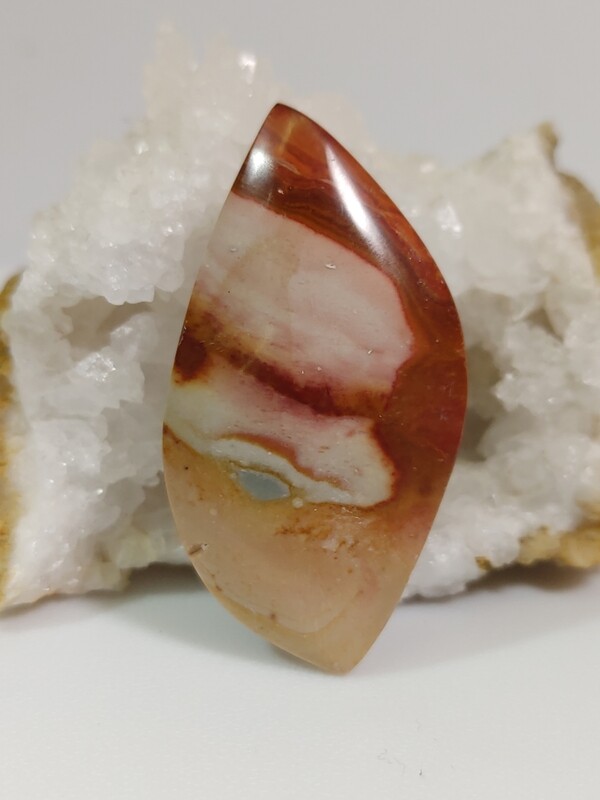 Polychrome