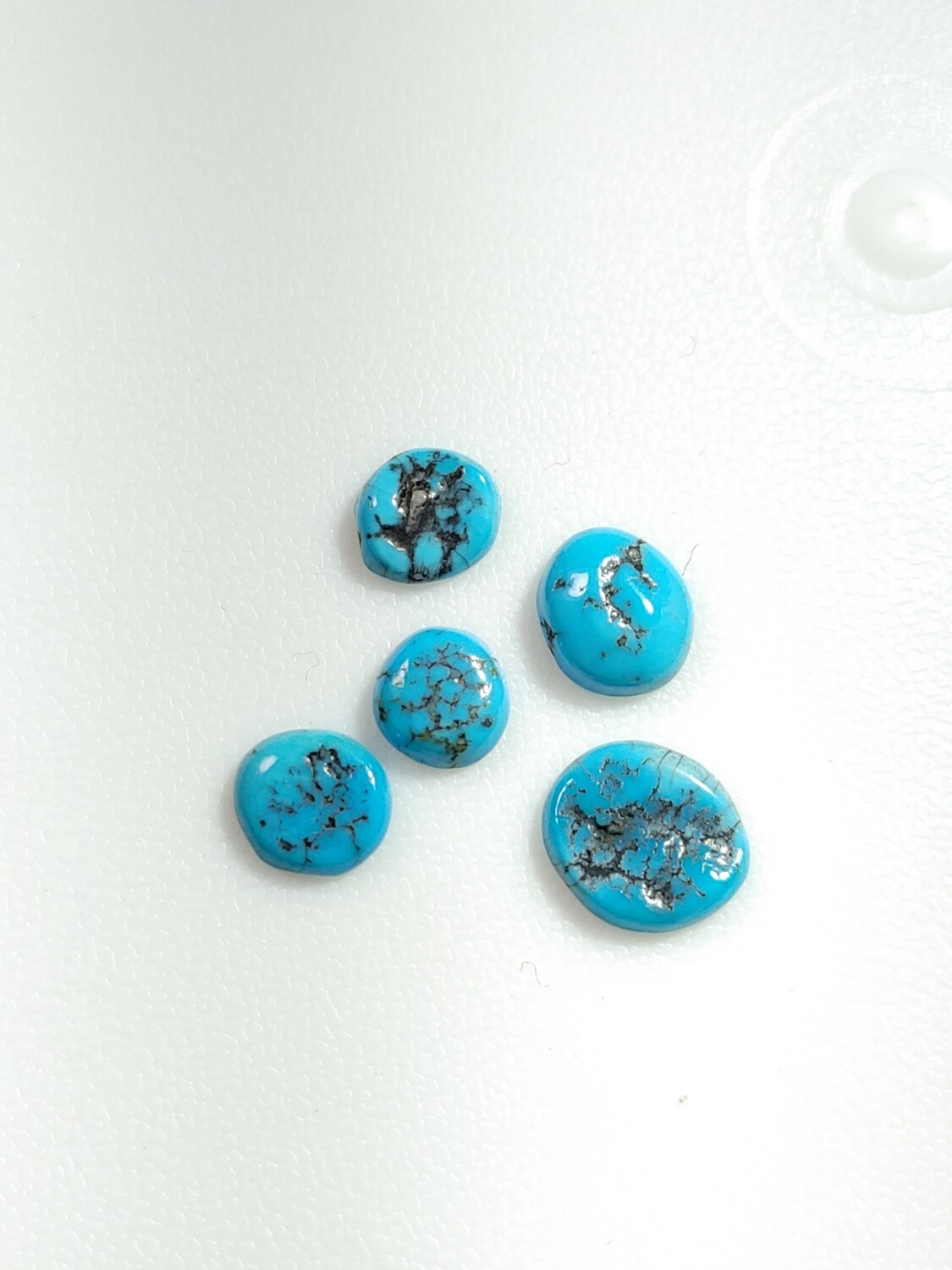 Sleeping Beauty Turquoise