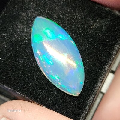 Opal Marquis