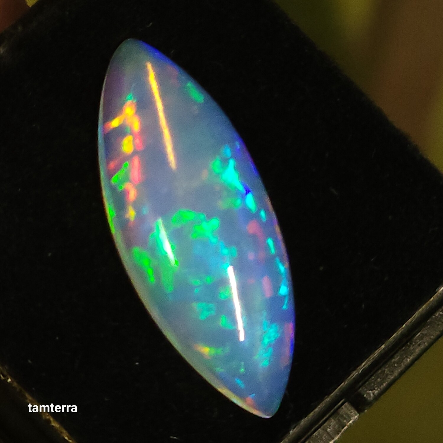 Opal Marquis
