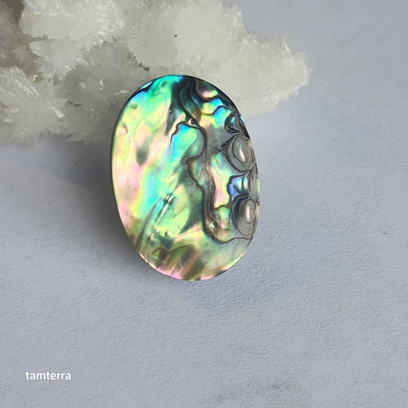 Abalone