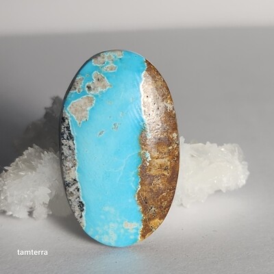 Chilean Turquoise