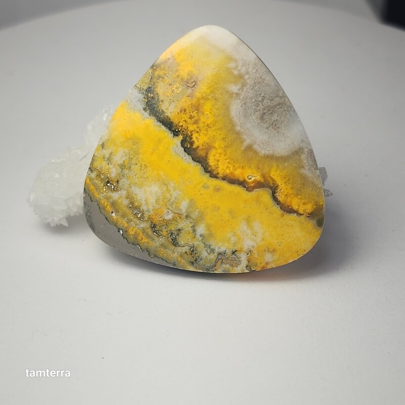 Bumble Bee Jasper