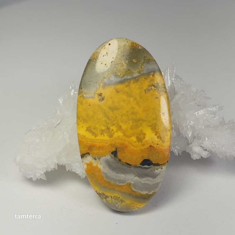 Bumble Bee Jasper