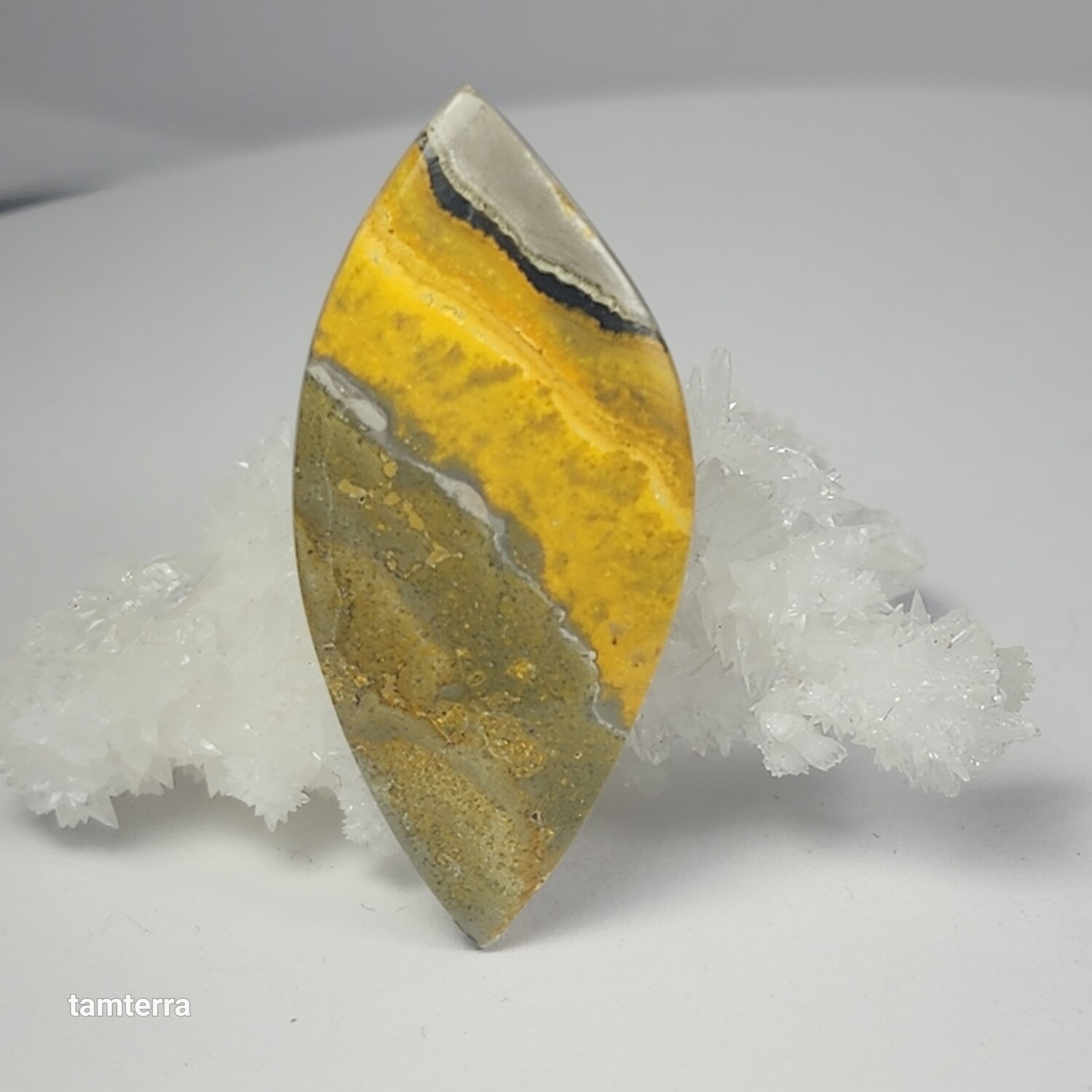 Bumblebee Jasper