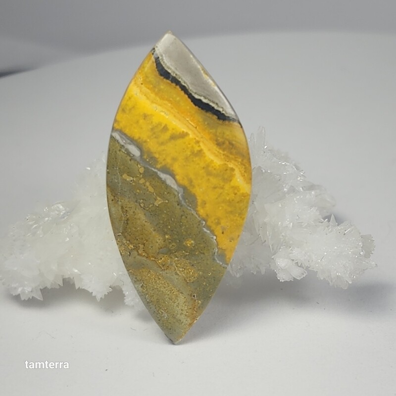 Bumblebee Jasper