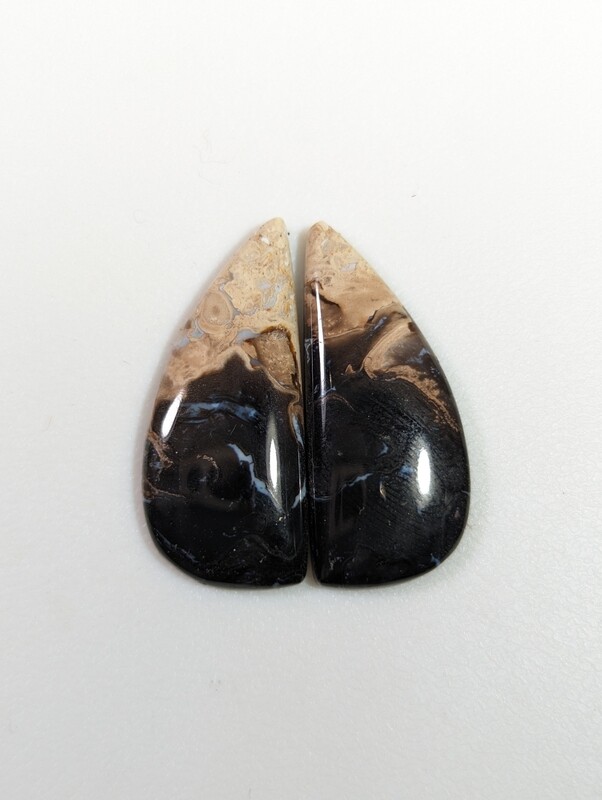 Black Palm Root