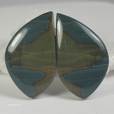Picture Jasper Pair