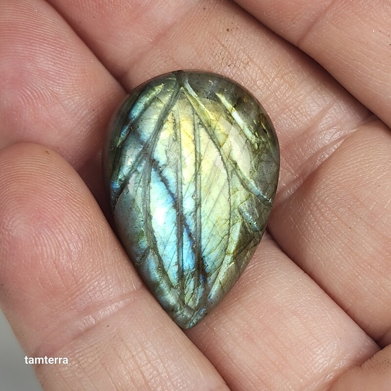 Carved Labradorite Pear / Teardrop 