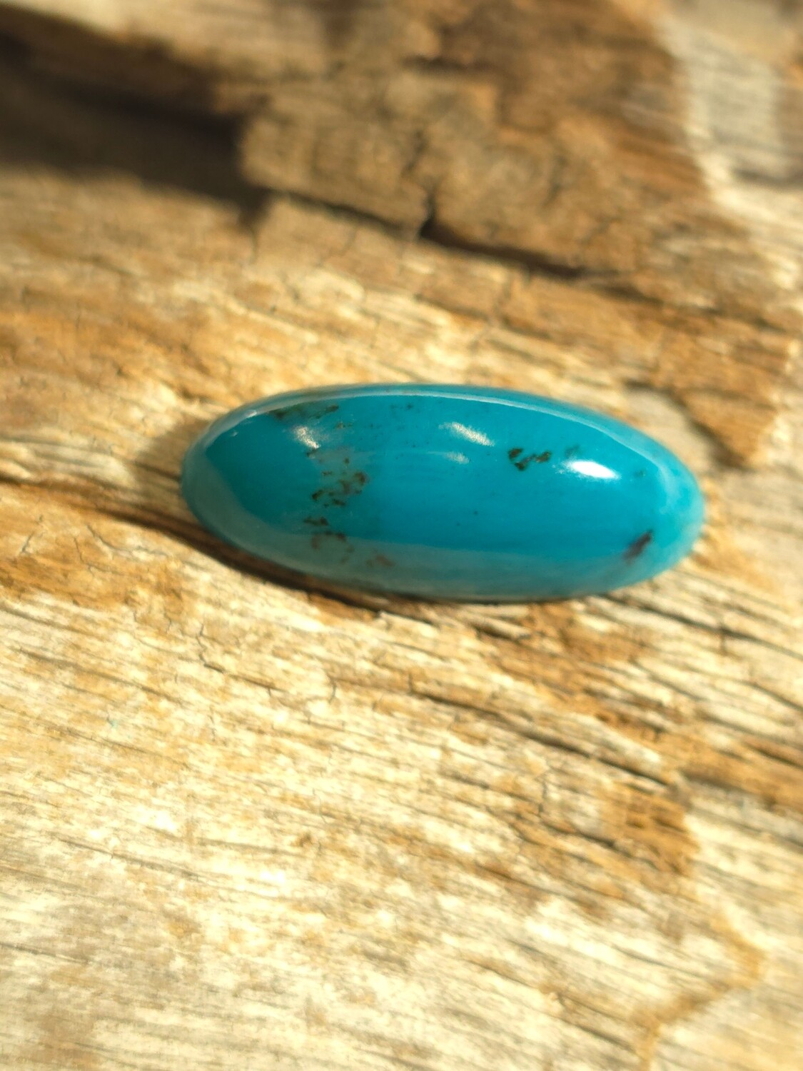 Chrysocolla AAA+ Lot