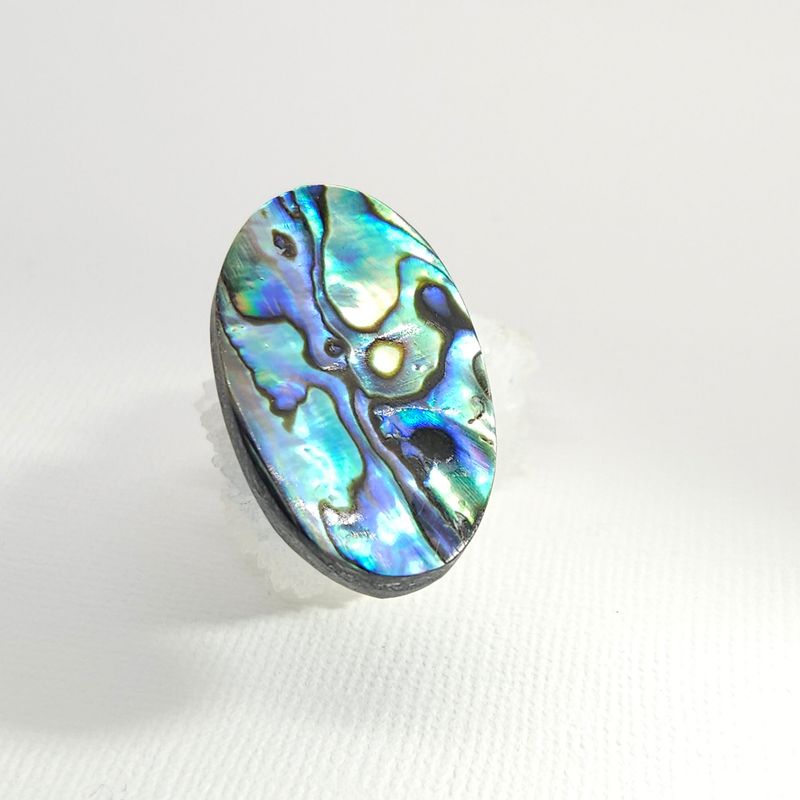 Abalone