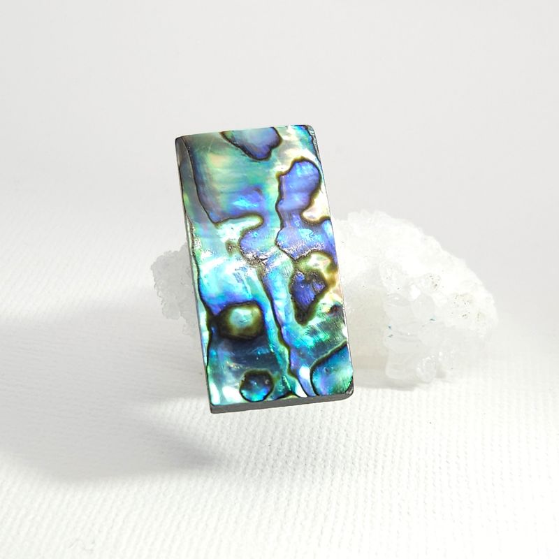 Abalone