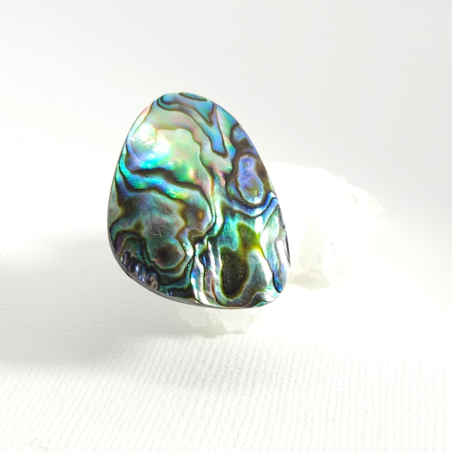 Abalone