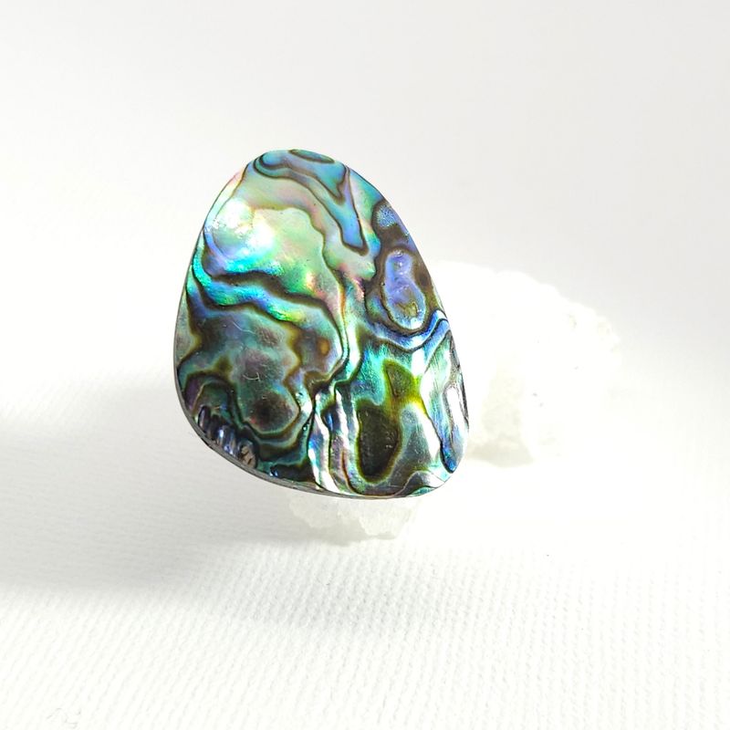 Abalone