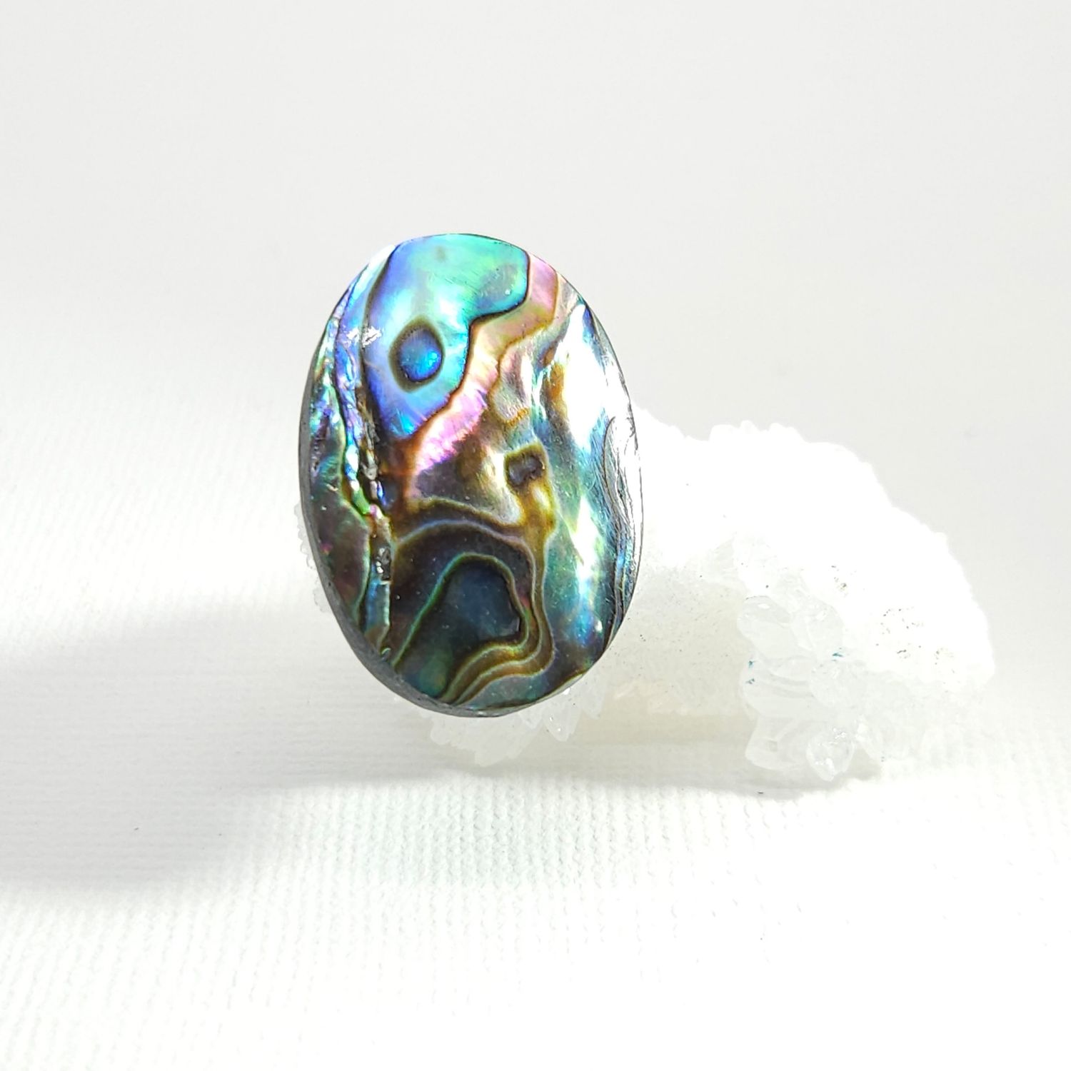 Abalone