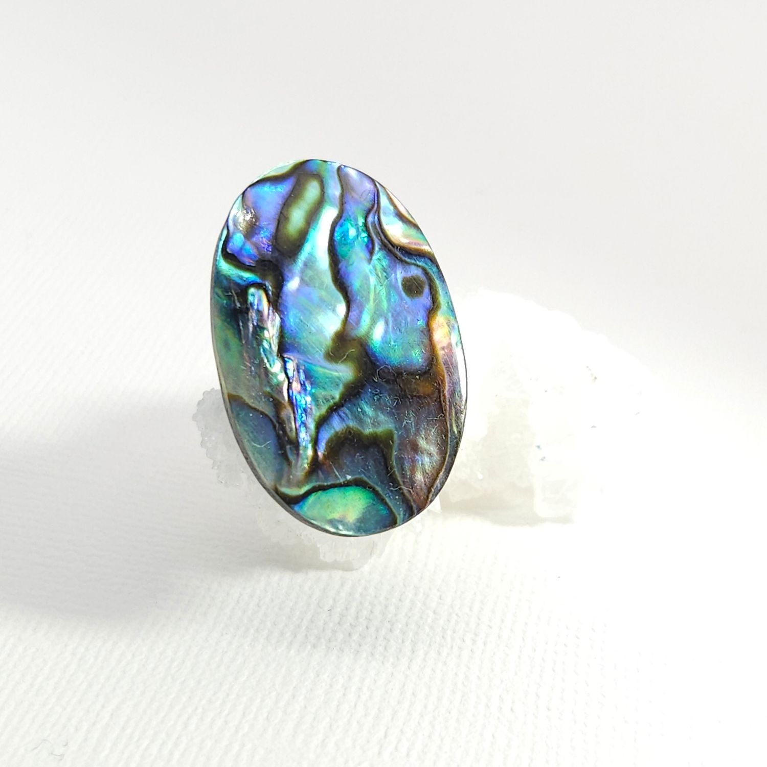 Abalone