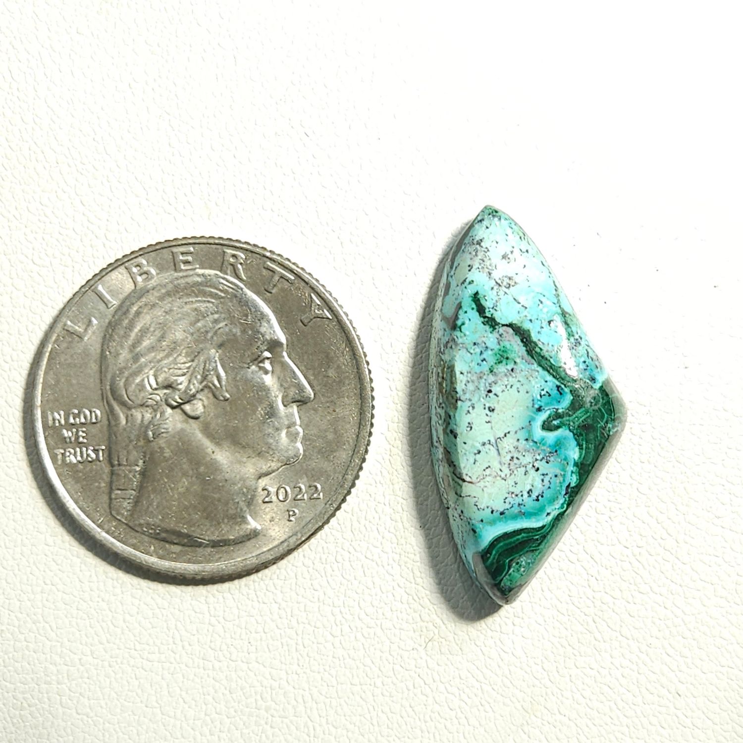 Malacolla