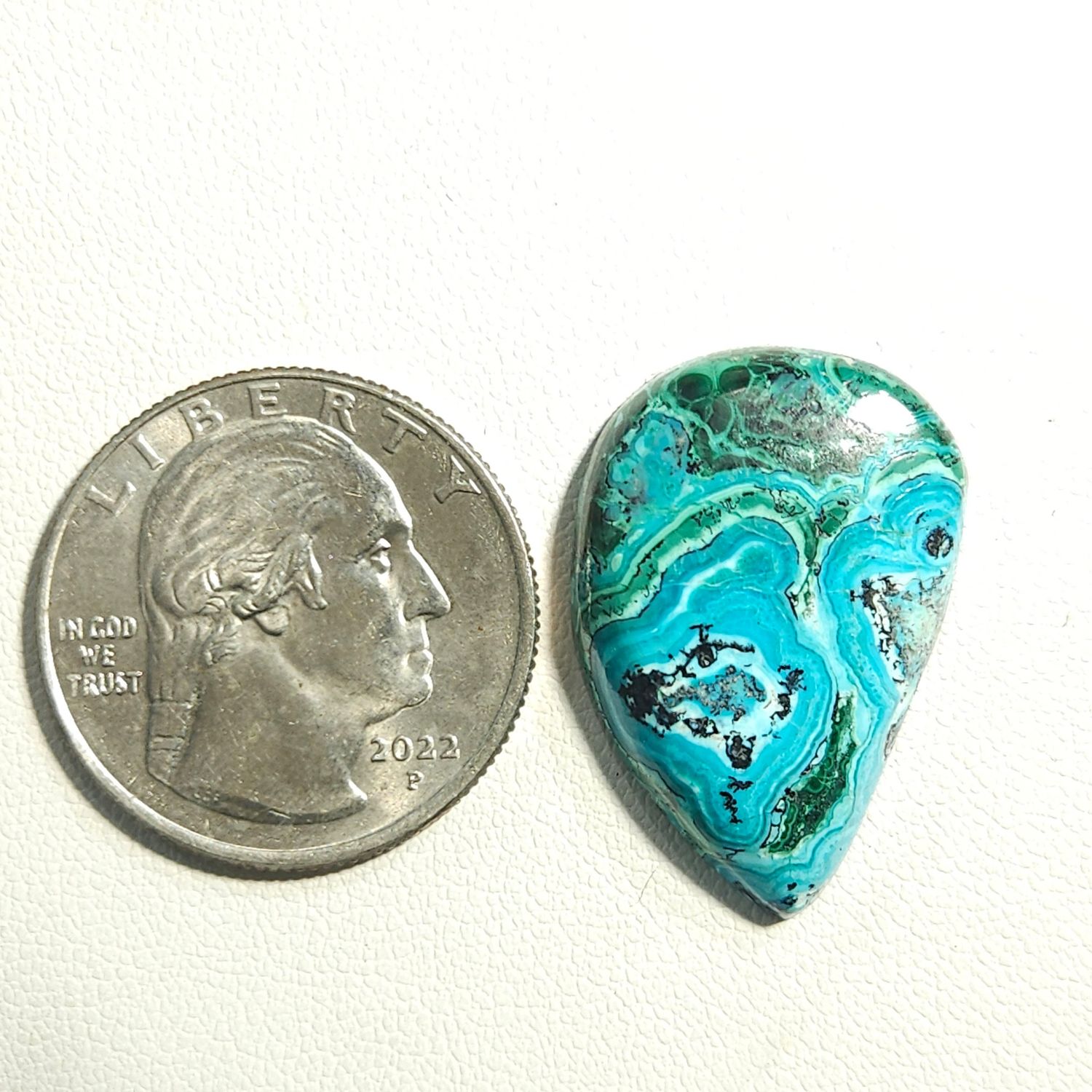 Malacolla