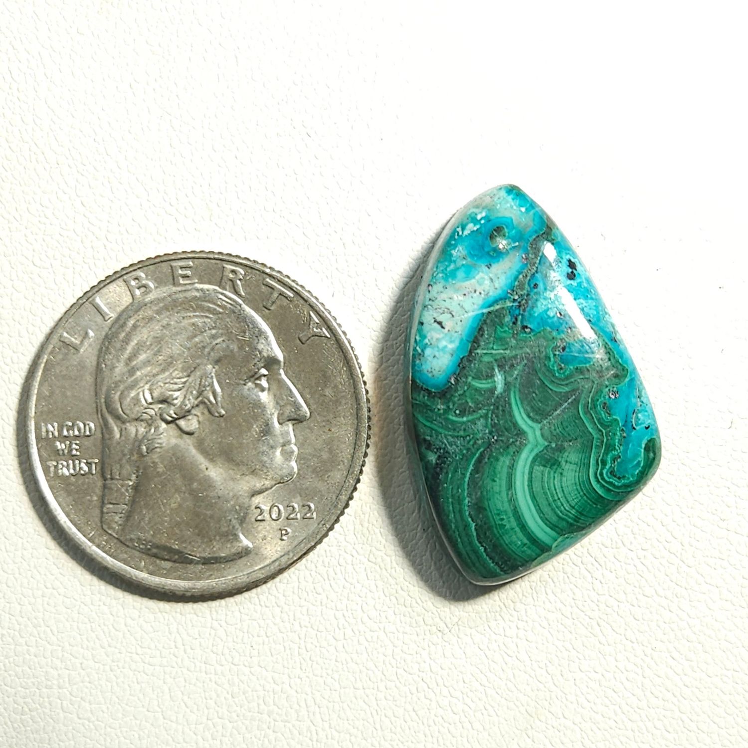 Malacolla