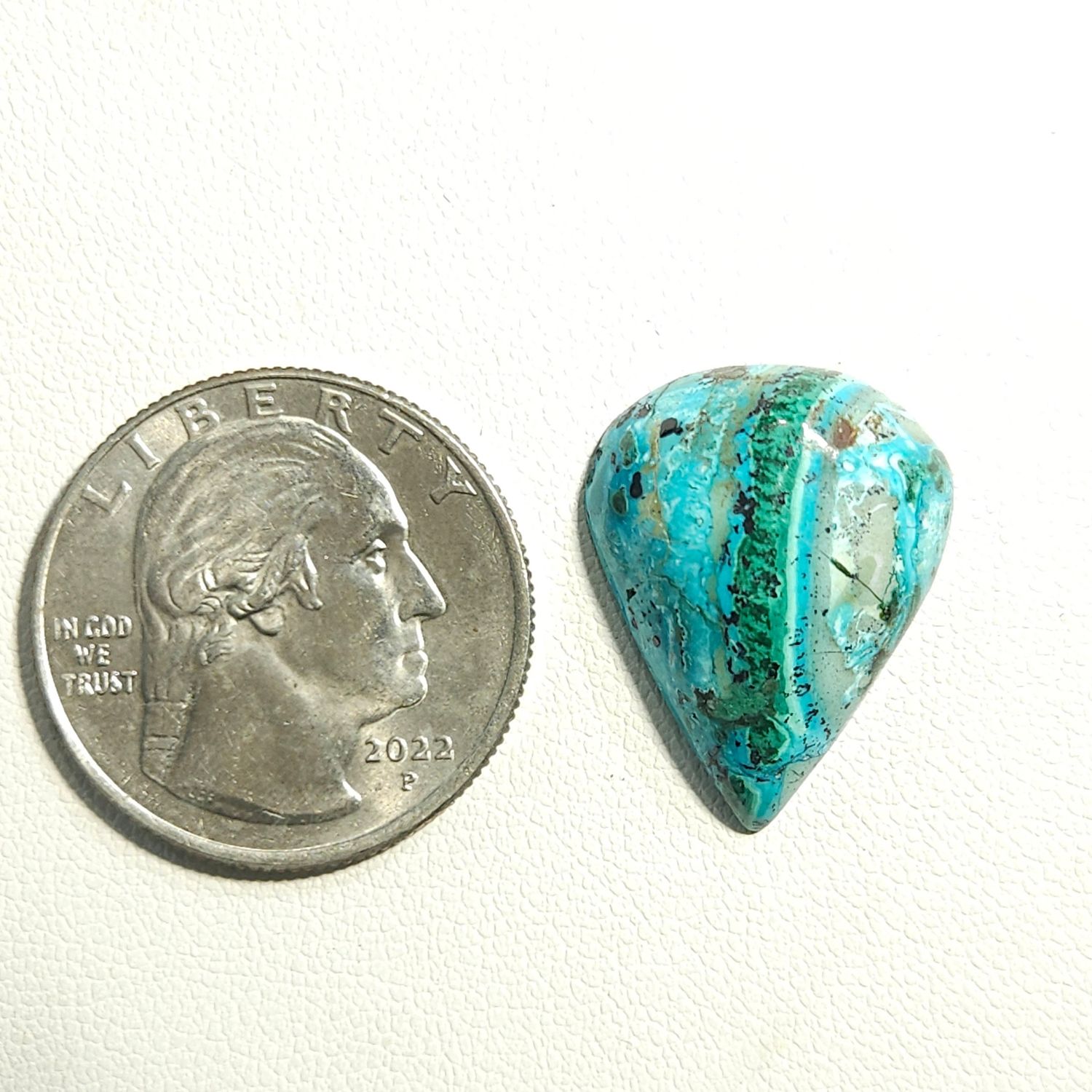 Malacolla