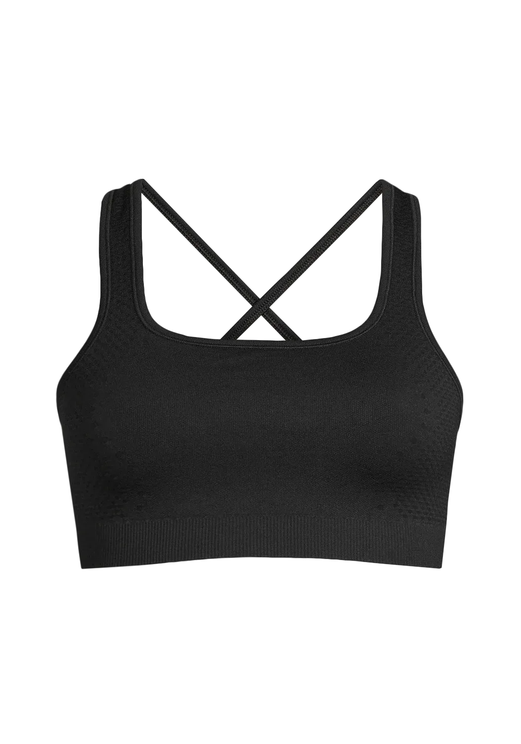 Scallop Seamless Bralette